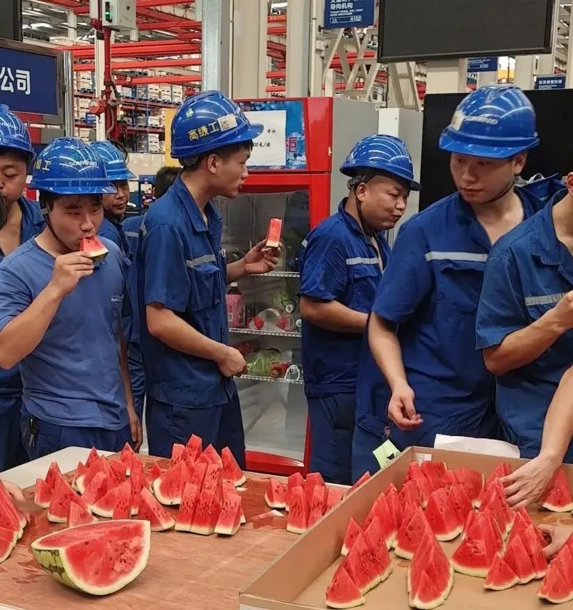 “降暑套餐”，只为不服“暑”的你