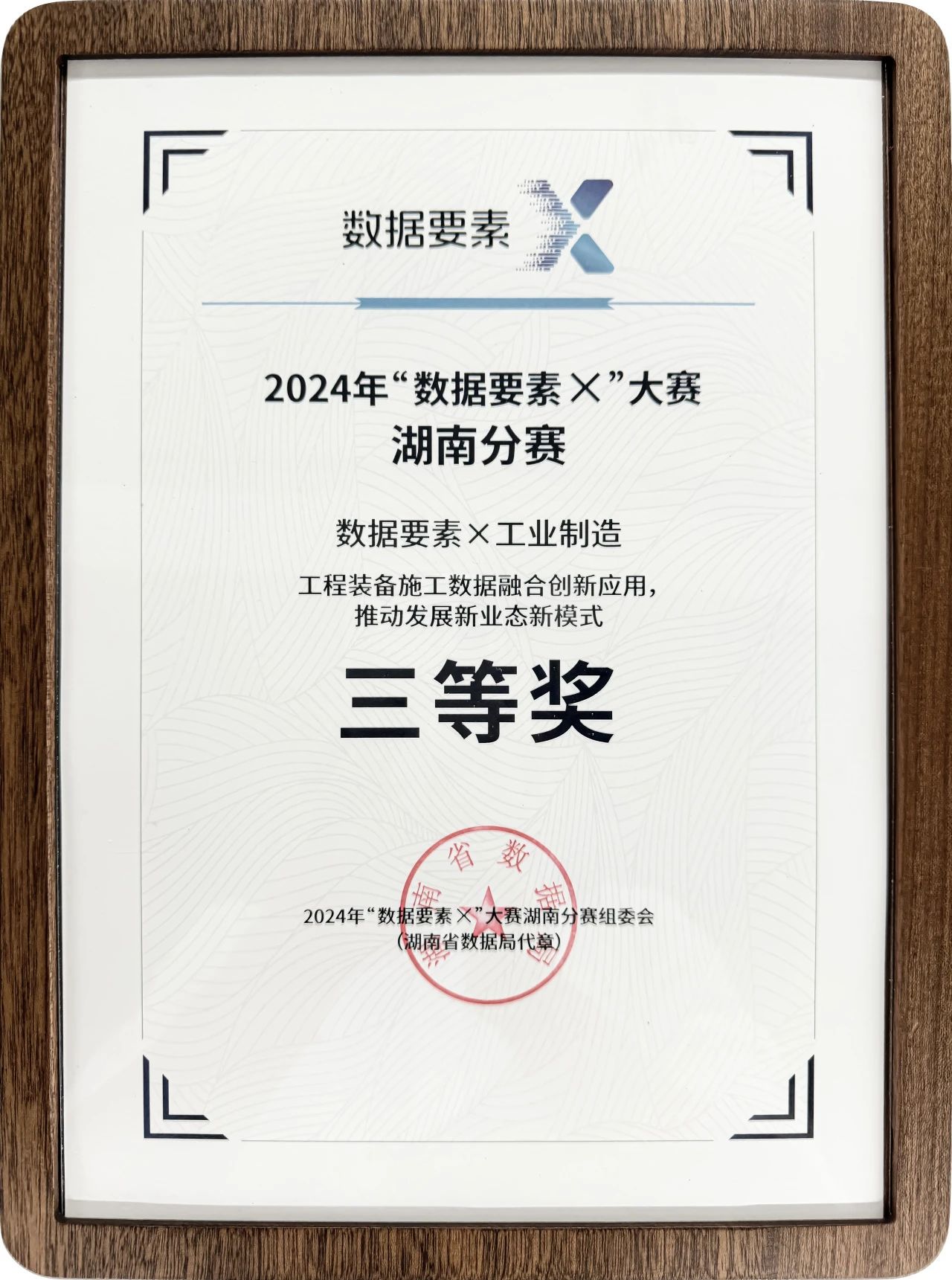 荣获2024年“数据要素×”大赛湖南赛区三等奖